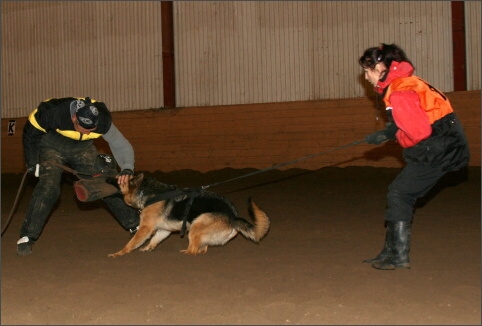 Training in Estonia 11/2007